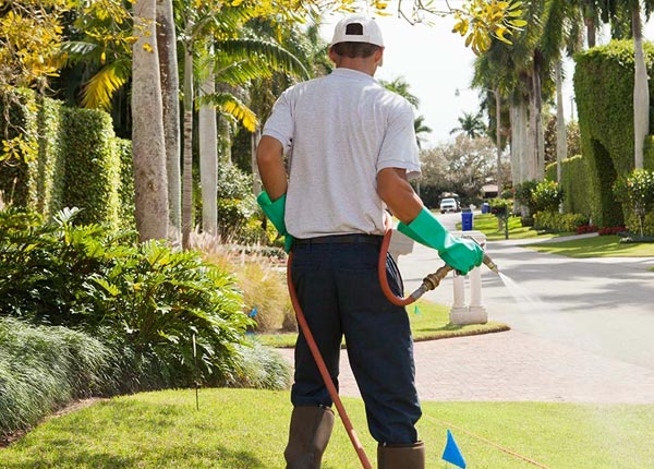 About Stephens GA Pest Control Pros